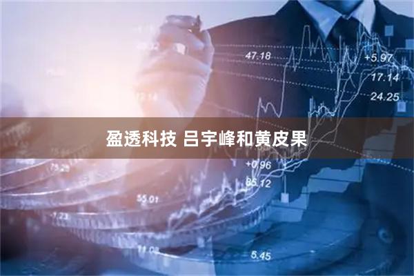 盈透科技 吕宇峰和黄皮果