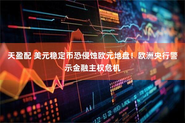 天盈配 美元稳定币恐侵蚀欧元地盘！欧洲央行警示金融主权危机