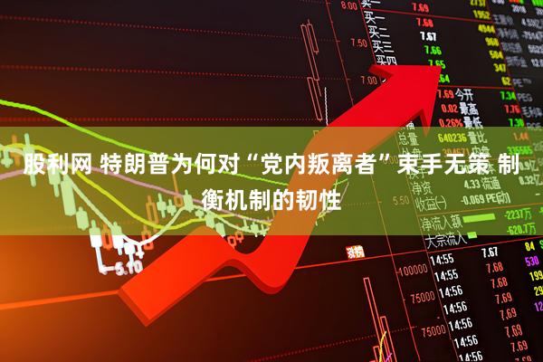 股利网 特朗普为何对“党内叛离者”束手无策 制衡机制的韧性