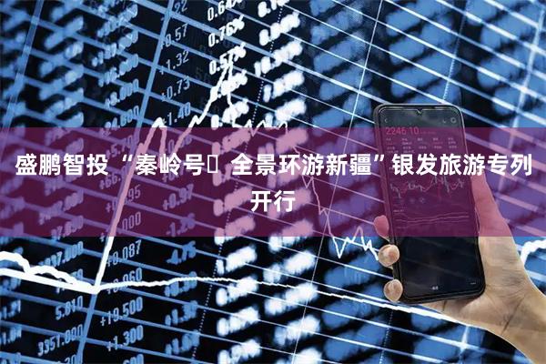 盛鹏智投 “秦岭号・全景环游新疆”银发旅游专列开行
